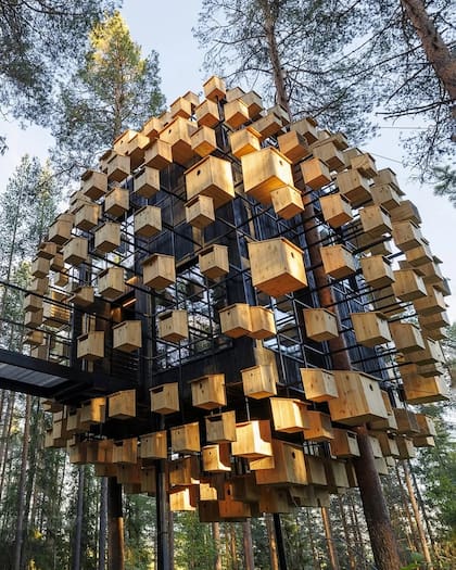 Esta casa del árbol está tiene 350 pajareras