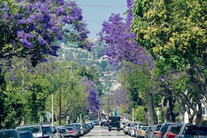 Cuándo empieza la primavera en California: la fecha y hora exacta