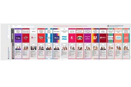 Esta es la BUP de la provincia de Buenos Aires, que se definió antes de la baja de la candidatura de Espert en la lista de La Libertad Avanza