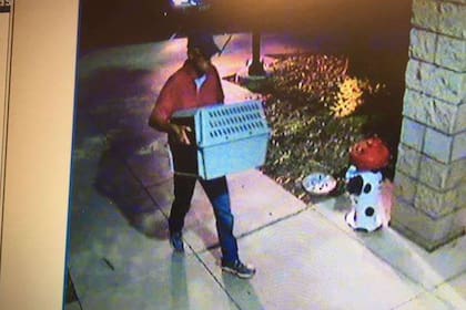 Esta es la imagen tomada por las cámaras de seguridad del refugio. La policía local busca al responsable de abandonar al animal