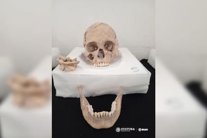 Esta es una de las fotos que el instituto de antropología de México presentó de los restos humanos encontrados en Tabasco