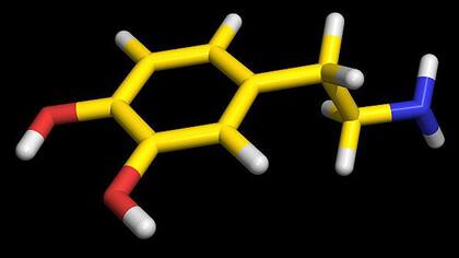 Esta es una representación de la esencial dopamina, la rectora de nuestro placer.