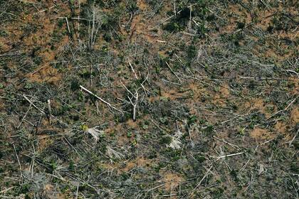 Esta foto de archivo tomada el 23 de agosto de 2019 muestra un terreno deforestado en la selva amazónica cerca de un área afectada por incendios, a unos 65 km de Porto Velho, en el estado de Rondonia, en el norte de Brasil