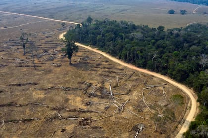 Esta foto de archivo tomada el 24 de agosto de 2019 muestra una vista aérea de áreas quemadas de la selva amazónica, cerca de Porto Velho, estado de Rondonia, Brasil