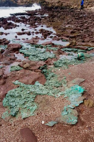 Esta foto difundida por la Universidad Federal de Paraná (UFPR) muestra "rocas de plástico" encontradas en la isla de Trindade, estado de Espirito Santo, Brasil, el 2 de septiembre de 2022, que forman parte de una investigación científica llevada a cabo por científicos de la UFPR