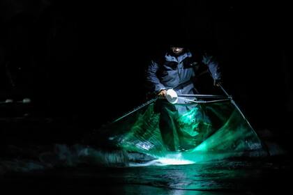 Esta foto tomada el 25 de diciembre de 2020 muestra a un pescador local revisando sus redes mientras pesca anguilas bebé por la noche a lo largo de una playa en el condado de Yilan en el noreste de Taiwán