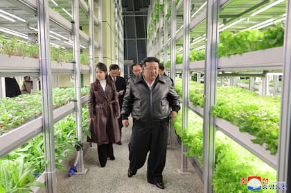 Esta fotografía tomada el 15 de marzo de 2024 y publicada por la Agencia Central de Noticias Coreana (KCNA) oficial de Corea del Norte el 16 de marzo muestra a Kim Jong-un y su hija Ju-ae visitando el Invernadero Integral de Gangdong en Pyongyang. (KCNA VIA KNS / AFP)