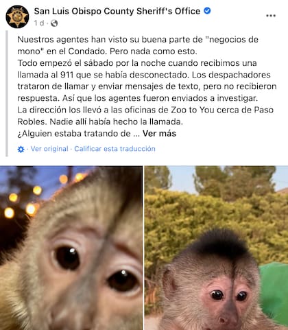 Esta fue la publicación de la policía de Estados Unidos sobre el caso del mono