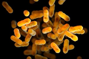 Alerta por el aumento de casos de una enfermedad que ya provocó la muerte de 11 bebés el año pasado