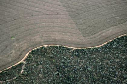 Esta imagen de archivo tomada el 29 de mayo de 2019 muestra una vista aérea de un campo agrícola junto a un Cerrado nativo (sabana) en Formosa do Rio Preto, al oeste del estado de Bahía, Brasil