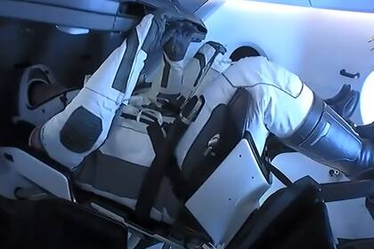 Esta imagen de la NASA obtenida el 2 de agosto de 2020 muestra a los astronautas de la NASA Robert Behnken y Douglas Hurley dentro de la nave espacial SpaceX Crew Dragon "Endeavour"