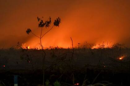 Esta imagen de los incendios en Indonesia fue tomada el 9 de septiembre