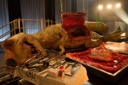 Esta iniciativa global, que se verá en simultáneo en 171 países en 45 idiomas