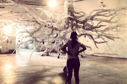 Esta instalación se realizó en el Zoológico de Philadelphia para una exposición