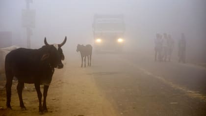 Una espesa neblina gris envolvió la capital de India la contaminación golpea niveles peligrosos. La Asociación Médica India dijo que Nueva Delhi estaba en medio de una "emergencia de salud pública"