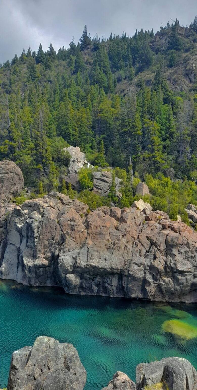parque nacional los alerceres