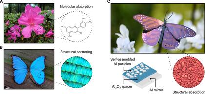 Esta nueva tinta tiene lo que se denomina color estructural: en vez de reflejar una determinada longitud de onda, está constituida por dos materiales que no tienen pigmento: el aluminio y el óxido de aluminio. Así, el tono percibido a los ojos humanos depende de su formato y tamaño a una escala a nanométrica