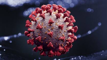 Esta nueva variante de Covid-19 obligó a los habitantes de India a usar nuevamente mascarillas