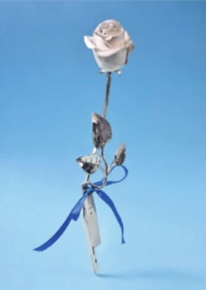 Esta rosa de Pallarols se empieza a subastar desde la base de $25.000