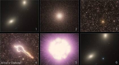 Esta secuencia de ilustraciones artísticas, de arriba a la izquierda a abajo a la derecha, muestra cómo un agujero negro en el núcleo de un cúmulo estelar captura una estrella que se encuentra cerca y la destroza gravitacionalmente hasta que se produce una explosión (Foto: Gentileza NASA)