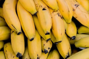 El truco para mantener las bananas amarillas y frescas durante días: así se deben guardar