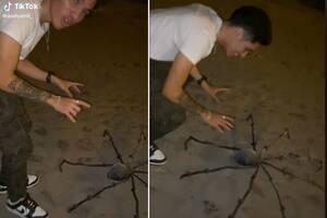 Se topó con una enorme araña en la playa, pero al acercarse descubrió algo que lo dejó sin palabras