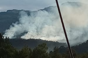 En la Patagonia se combaten incendios forestales que afectan áreas boscosas