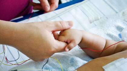 Esta técnica "hace posible el uso de órganos sólidos que de otra forma se perderían", según los expertos.
Foto: iStock