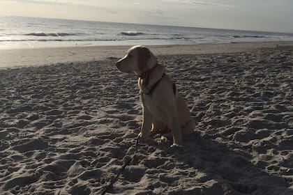 Está ubicada en Indian Harbour Beach, Florida, a unas tres horas en auto desde Miami