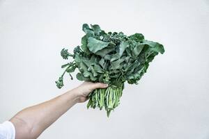 La verdura poco consumida que te ayuda a regenerar el colágeno de la piel