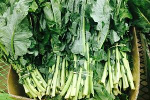 Esta verdura retarda la absorción del azúcar de los alimentos y así controla los niveles de glucosa en sangre