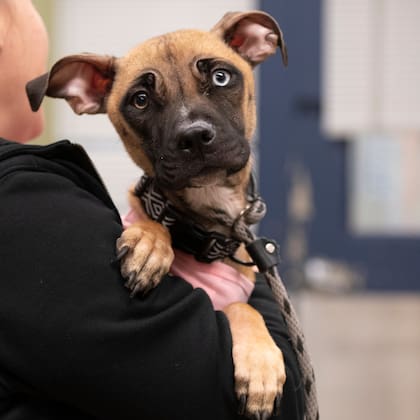 “Estaba en pésimas condiciones y, sin embargo, era muy dulce”.
