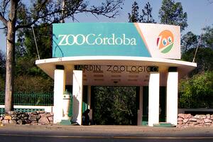 Tras denuncias, Córdoba cerrará el zoológico y lo convertirá en un bioparque