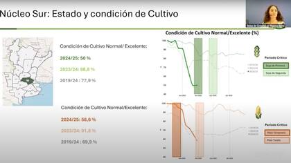 Estado de los cultivos en el Núcleo Sur
