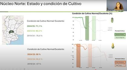 Estado de los cultivos en el Núcleo Norte según la Bolsa de Cereales porteña