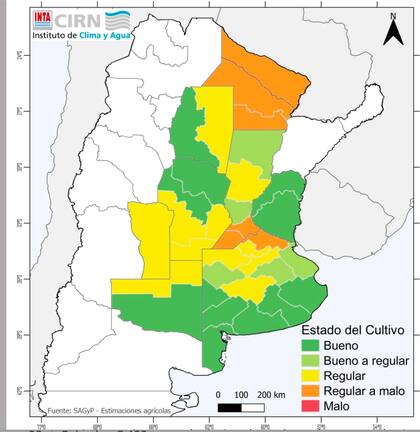 Estado del cultivo de trigo