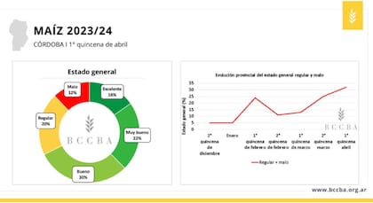 Estado general de los cultivos de maíz en Córdoba