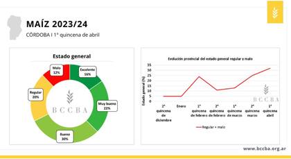 Estado general de los cultivos de maíz en Córdoba