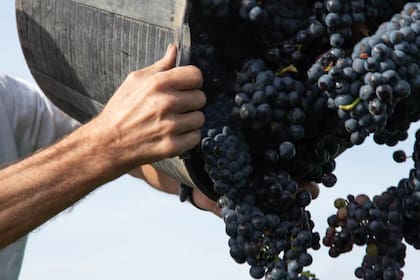 Estados Unidos aplicó un arancel del 20% a los productos europeos