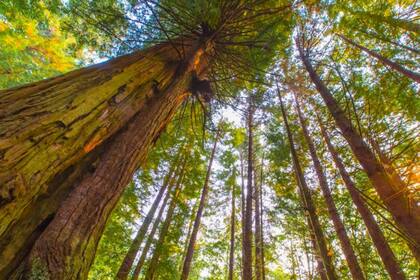 Estados Unidos aumentó el precio de ingreso a los Parques Nacionales para turistas extranjeros