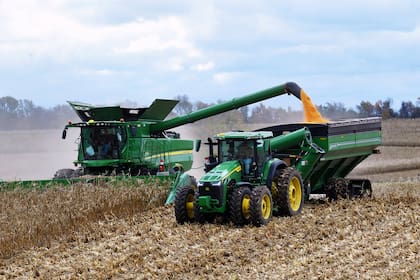 Estados Unidos es líder mundial en producción de maíz