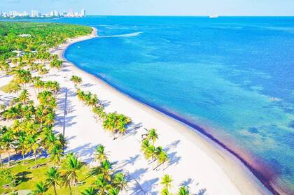 “Estados Unidos es un país espectacular, sobre todo cuando naciste aquí".