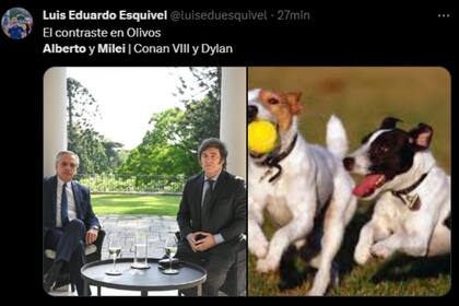 Estallaron los memes por las mascotas de Javier y Alberto (Captura X)