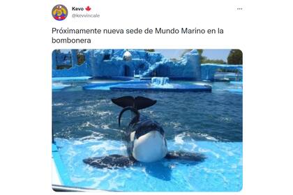 Estallaron los memes y los usuarios compararon a La Bombonera con Mundo Marino