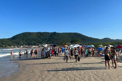 "Estamos ante una combinación de agentes causales", señaló Fábio Gaudenzi, superintendente de Vigilancia Sanitaria de la Secretaría de Salud de Santa Catarina
