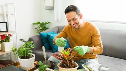 "Estamos programados de manera evolutiva para responder a la naturaleza"