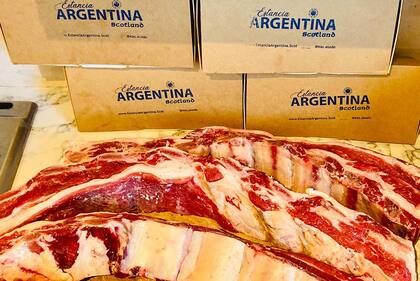 Aberdeen Angus escocés con corte argentino, la clave del emprendimiento de Arriola.