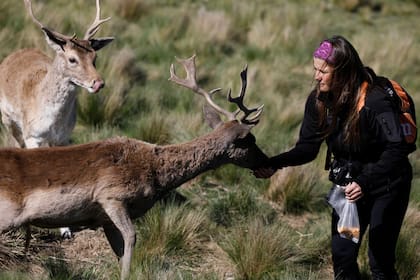 A Paola García, de 40 años, se le ocurrió organizar estos recorridos para que los turistas pudieran observar a los animales salvajes