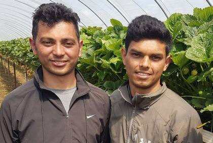 Estanterías vacías y un PBI peor que el de Rusia: 4 síntomas del mal momento que enfrenta la economía de Reino Unido