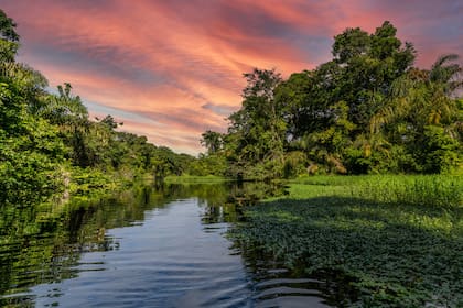 Estar en contacto con la naturaleza es fundamental